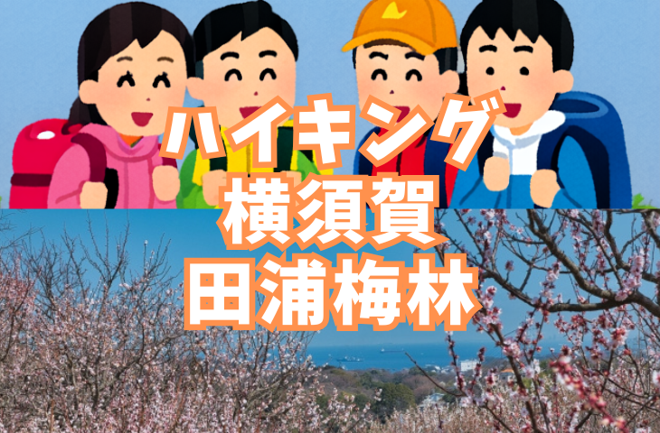 【ハイキング部】2月28日（日）横須賀・田浦梅林！海が見える絶景の高台へ！
