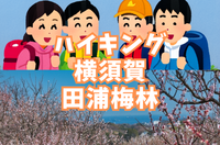 【ハイキング部】2月28日（日）横須賀・田浦梅林！海が見える絶景の高台へ！

