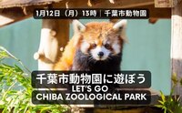 千葉市動物公園に遊ぼう🐆 📸Let's go to Chiba Zoological Park