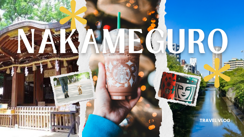 【20代・初参加歓迎】中目黒ゆる街歩き🌿目黒川・神社・スタバめぐり✨