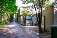 【35歳以下限定】表参道の雑貨屋さん巡り🍓