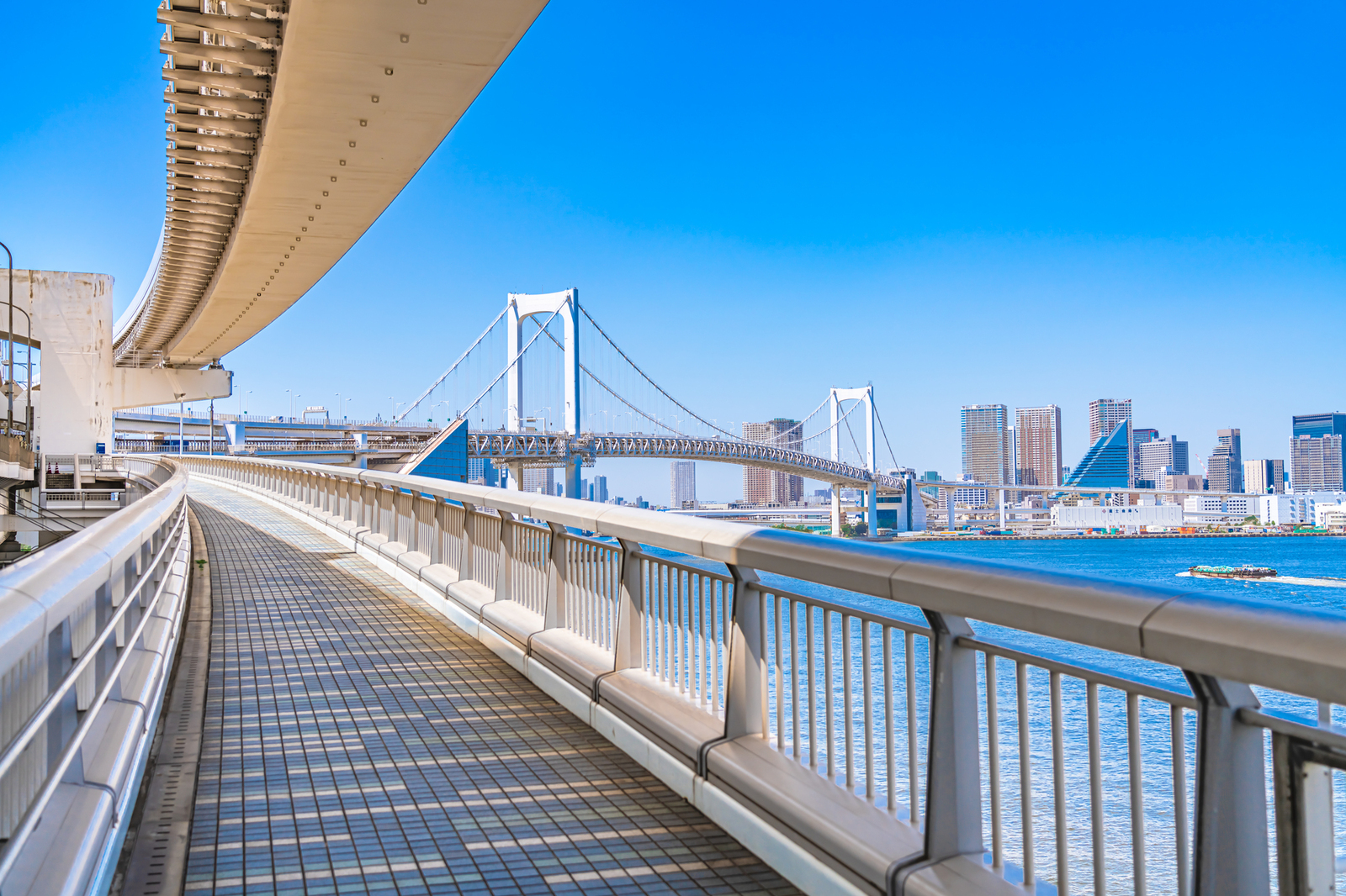 【1/2開催】レインボーブリッジ夜景ウォーキング🌉✨都心パノラマ満喫！初心者・おひとり様歓迎の特別ナイトツアー