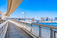 【1/2開催】レインボーブリッジ夜景ウォーキング🌉✨都心パノラマ満喫！初心者・おひとり様歓迎の特別ナイトツアー