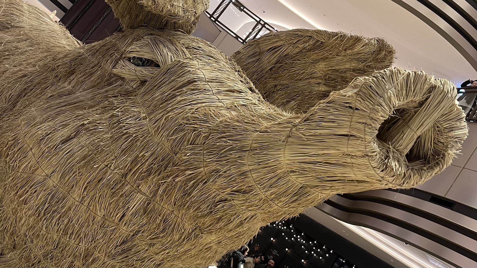 【30代〜44歳迄】ジビエ料理を堪能しよう