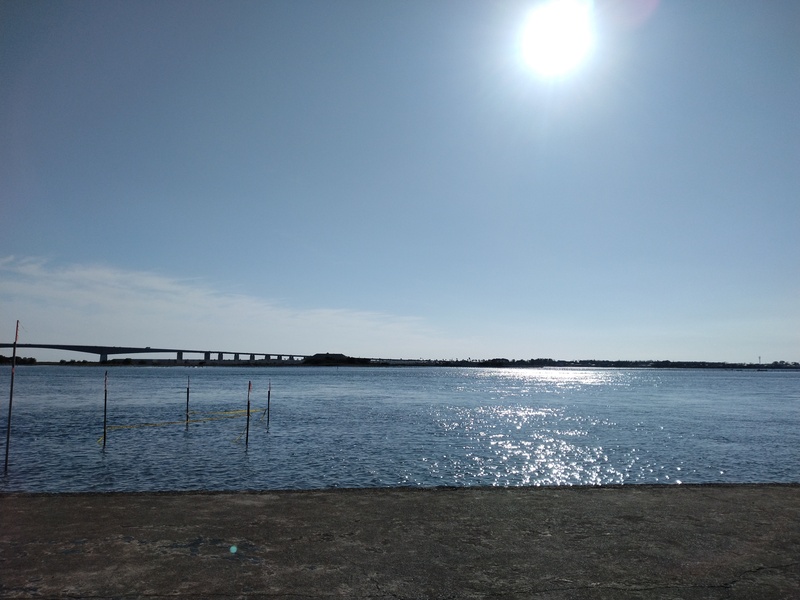 【最大3人の少人数開催】大須観音でゆったり食べ歩きをしようの会