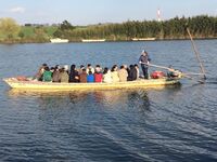 【30代中盤〜40代中心】江戸川河川敷散歩&船で川渡り&人気洋食店で食事会