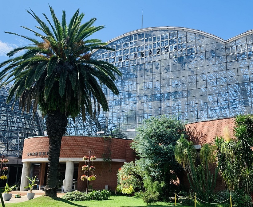 【30代中盤〜40代中心】新木場の夢の島熱帯植物館見学&ランチ&若洲海浜公園散歩