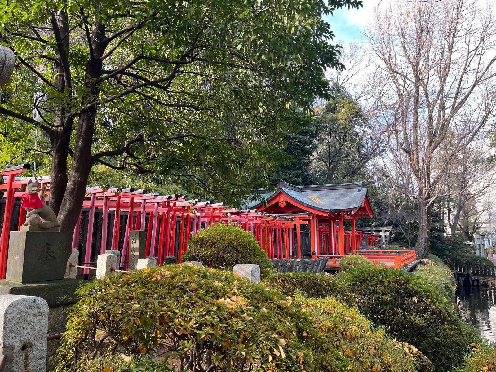 ✨つなゲート初心者必見✨【20代・30代限定】根津神社〜上野公園まで
散歩を通して友達を作ろうの会！🤲🚶