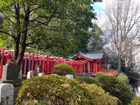 ✨つなゲート初心者必見✨【20代・30代限定】根津神社〜上野公園まで
散歩を通して友達を作ろうの会！🤲🚶