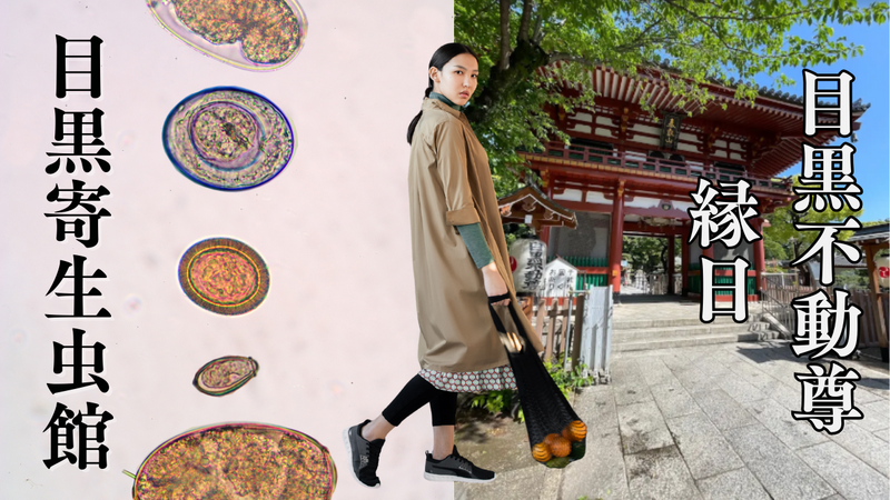 開催確定済【目黒ツアー】寄生虫博物館🦠＆目黒不動尊の縁日へ行こう✨目黒寄生虫館/縁日/神社仏閣/お焚き上げ/街歩き