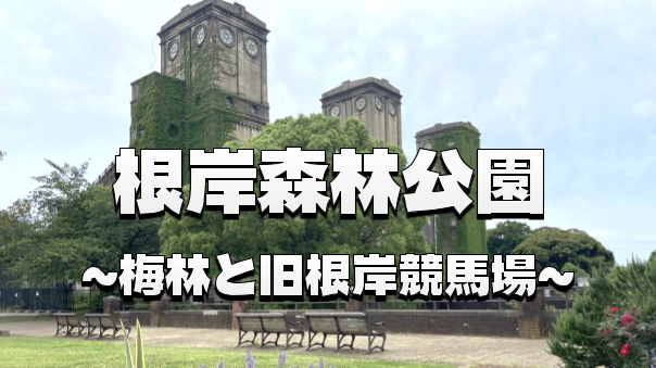 梅香る春のピクニック！根岸森林公園で歴史遺産と梅林を愛でる休日🌸🍱