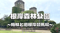 梅香る春のピクニック！根岸森林公園で歴史遺産と梅林を愛でる休日🌸🍱