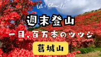 100万本のツツジを見に行こう🌺ゆるハイキング🌺