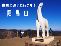 3/7 【初心者歓迎/陣馬山】白馬が見守り高原が広がる奥高尾の山！富士山の絶景スポットに行ってみよう