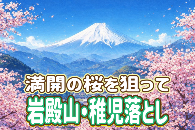 4/5🌸お花見登山🌸 岩殿山・稚児落とし/山頂は桜と富士山の絶景スポット🗻強瀬ルートが6年ぶりに開通！