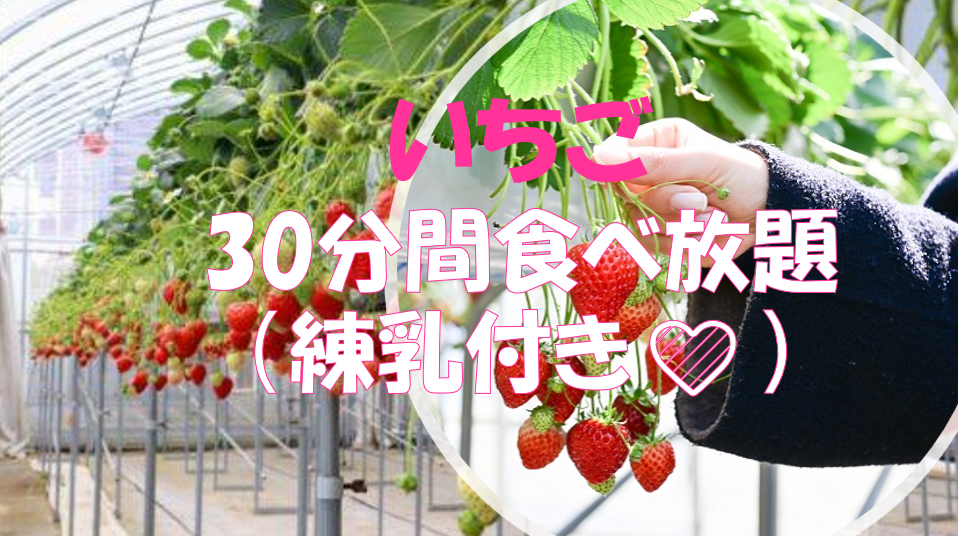 毎回争奪戦必至のアクセスの良い世田谷の住宅街でいちごの食べ放題をしよう♪