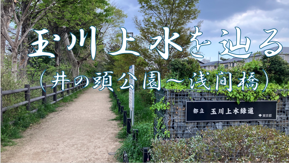 【玉川上水を辿る旅・第一弾】井の頭恩賜公園～浅間橋編