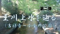 【玉川上水を辿る旅・第二弾】吉祥寺～小金井公園編