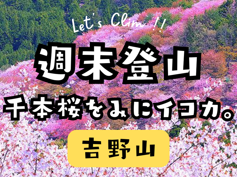 吉野山へ千本桜を見に行こう🌸ゆるハイキング🌸下山後は温泉でシメ♨️