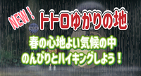 3/22 【春のハイキング】トトロゆかりの地を歩く、春のハイキング！あのバス停のモデルの場所にも行きます！