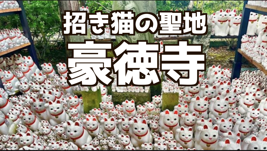 1/18（日）女性共催🐱 豪徳寺散策イベント｜招き猫の街を歩こう 🐱英会話ツアー同時開催