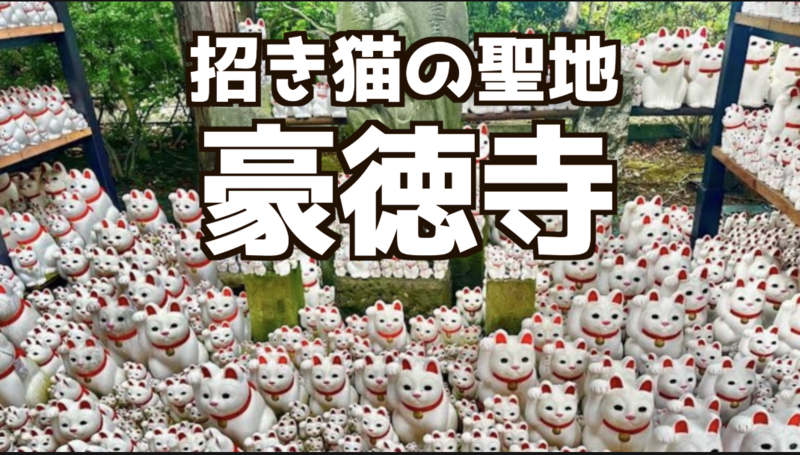 1/18（日）女性共催🐱 豪徳寺散策イベント｜招き猫の街を歩こう 🐱英会話ツアー同時開催