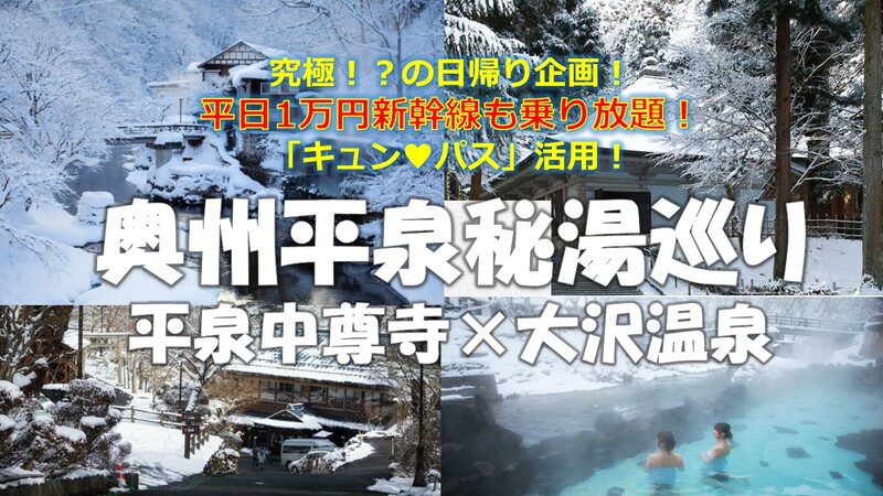 【平日限定】新幹線乗り放題切符活用！雪景色の世界遺産とレトロな秘湯へ 奥州平泉秘湯巡り 3万円が1万円で行ける冬の奥州旅