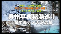 【平日限定】新幹線乗り放題切符活用！雪景色の世界遺産とレトロな秘湯へ 奥州平泉秘湯巡り 3万円が1万円で行ける冬の奥州旅