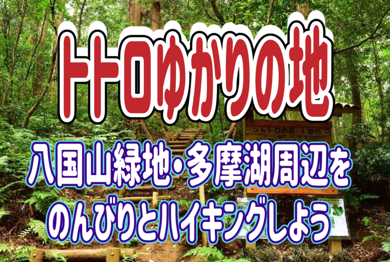 3/22 トトロゆかりの地（八国山緑地・新山手病院、神池）・多摩湖周辺をハイキングしよう！
