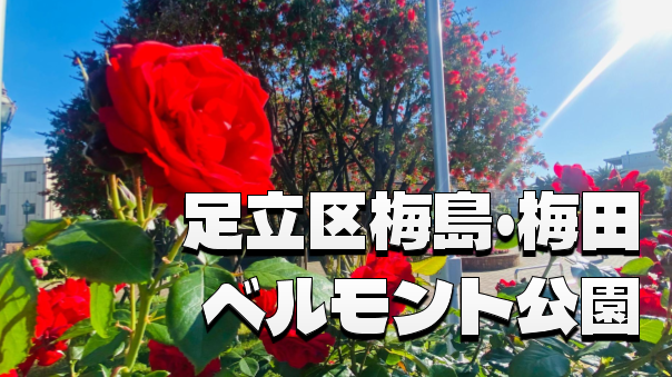 ベルモント公園で春ばらを楽しもう！足立区梅田と梅島の歴史スポットもめぐります。
