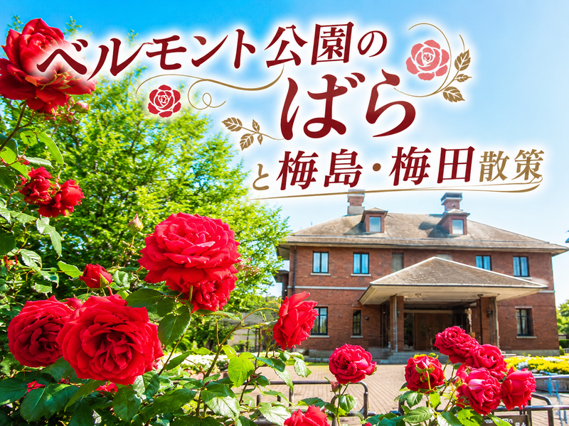 ベルモント公園で春ばらを楽しもう！足立区梅田と梅島の歴史スポットもめぐります。