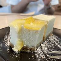 【早割中】代官山の映えるカフェに行こう！おすすめはチーズケーキ🎀🎀