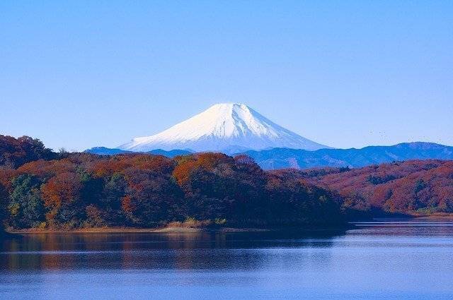 【早割中】大自然が広がる狭山湖とトトロの森に行こう🍒🍒