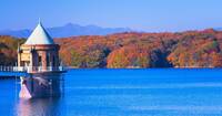 【早割中】大自然が広がる狭山湖とトトロの森に行こう🍒🍒