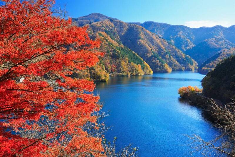 【早割中】紅葉と自然を感じに奥多摩へ行こう⭐⭐