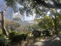 🚶🏻【日比谷公園】朝さんぽ と カフェトーク