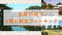 【20代・ひとり参加歓迎】皇居外苑で土曜の朝活ウォーキング☀️🥾