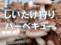 肉厚で新鮮なしいたけをその場でバーベキュー♪