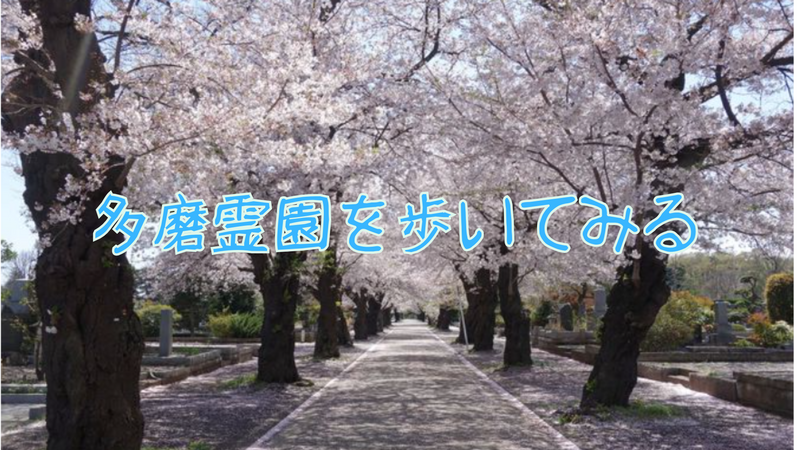 都立多摩霊園を散策してみよう〜偉人をたずねる〜
