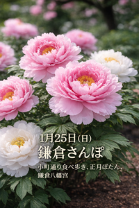 【1/25（日）鎌倉】30代限定鎌倉さんぽ！食べ歩き🍡正月ぼたん🏵️鎌倉八幡宮