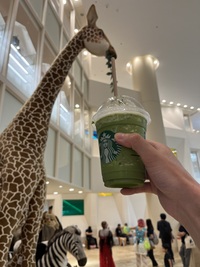 【1/21(水) 尼崎キューズモール・スタバ☕】仕事帰りにリラックス！