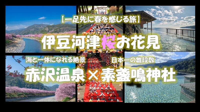 一足先に春を満喫　伊豆河津桜お花見、海と一体になれる赤沢温泉、日本一の雛壇素盞鳴神社