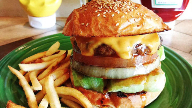 『20代30代限定』絶品グルメバーガーを食べに行こう！おすすめはモッツァレラチーズ バーガー🐶🐶