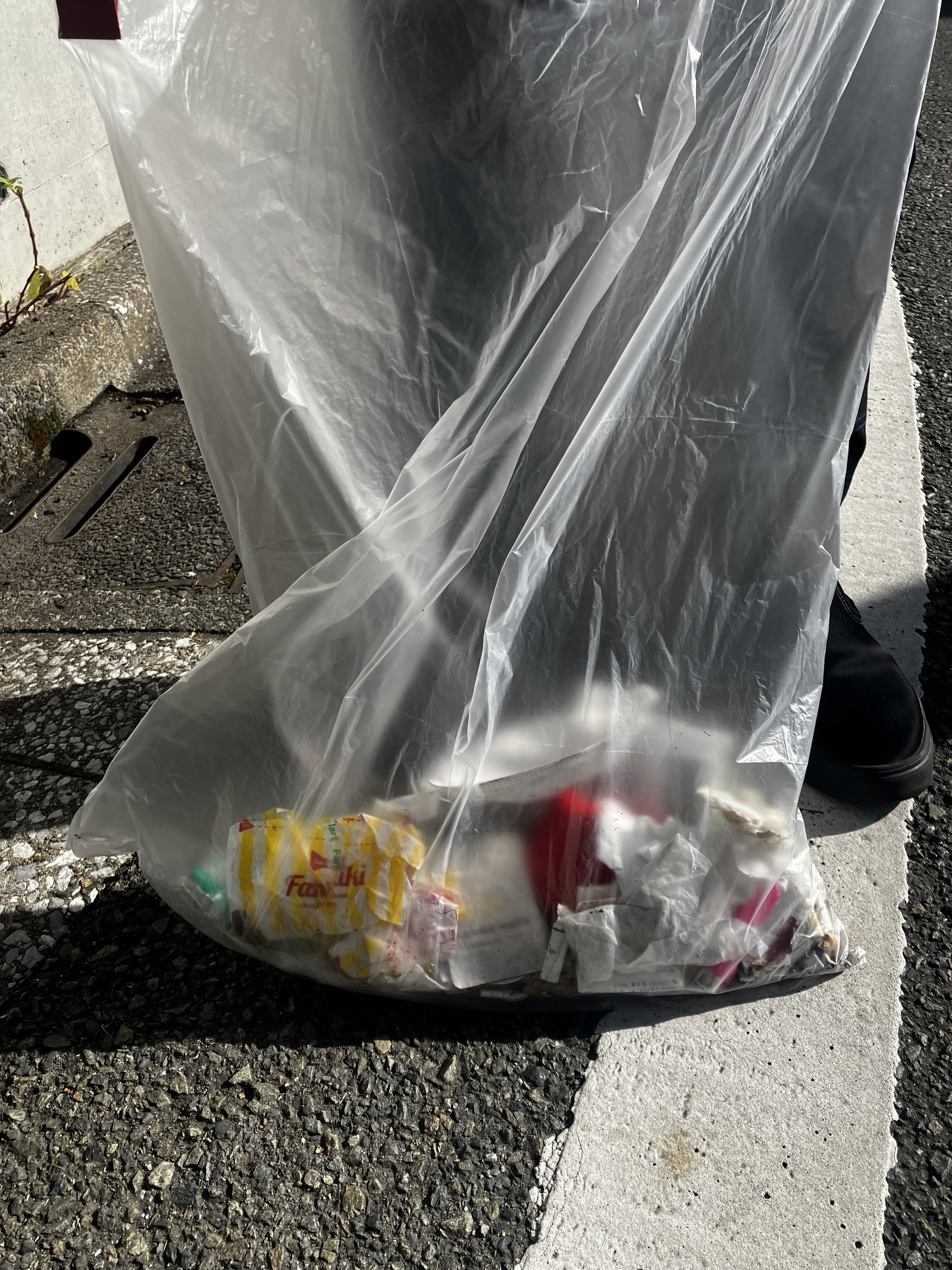 【1/18(日)開催】駒沢大学駅周辺でエコ活動🌿初心者歓迎！みんなで楽しくゴミ拾い✨