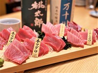 『30代40代限定』マグロ専門店に行こう！おすすめは豪快カマ焼き🌷🌷