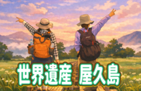 【メンバー限定】縄文杉を見に屋久島に行こう！