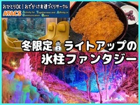 ２月限定🧊芦ヶ久保の氷柱鑑賞🧊と秩父おでかけ満喫ツアー