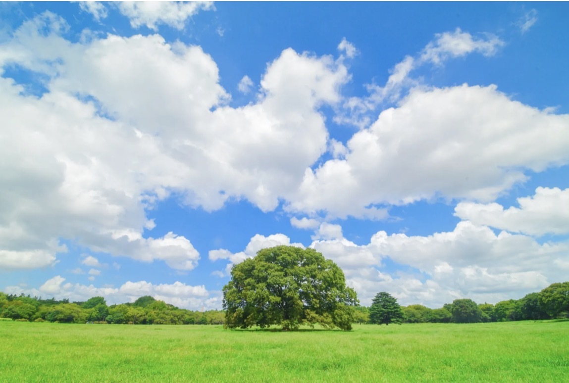 2/15(日)昭和記念公園セッション