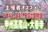 3/28 🌸お花見登山/千本桜🌸甲州高尾山、国宝大善寺、天空の湯！