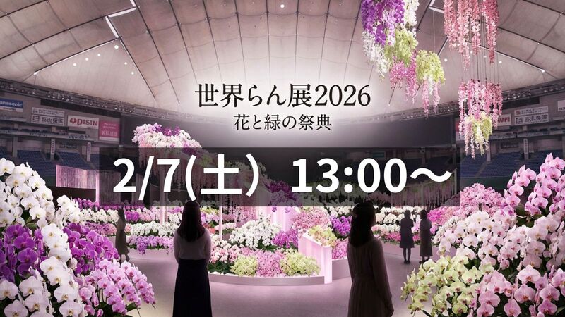 【7日間だけの祭典】2/7開催！世界らん展🌸花と緑の祭典で感動の美しさを満喫しよう✨東京ドーム